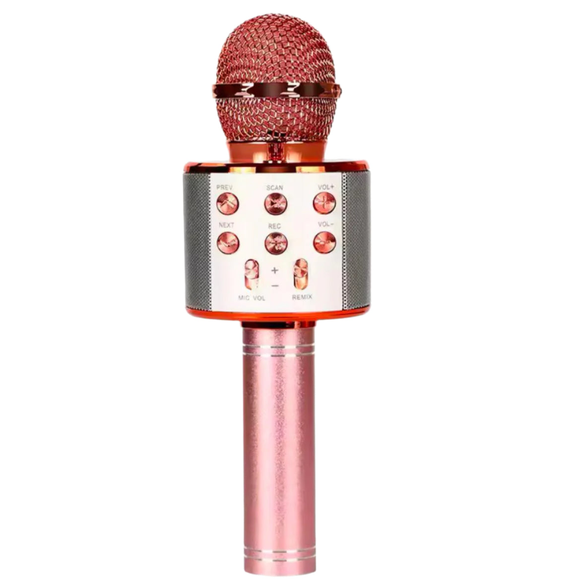 Karaoke Mic