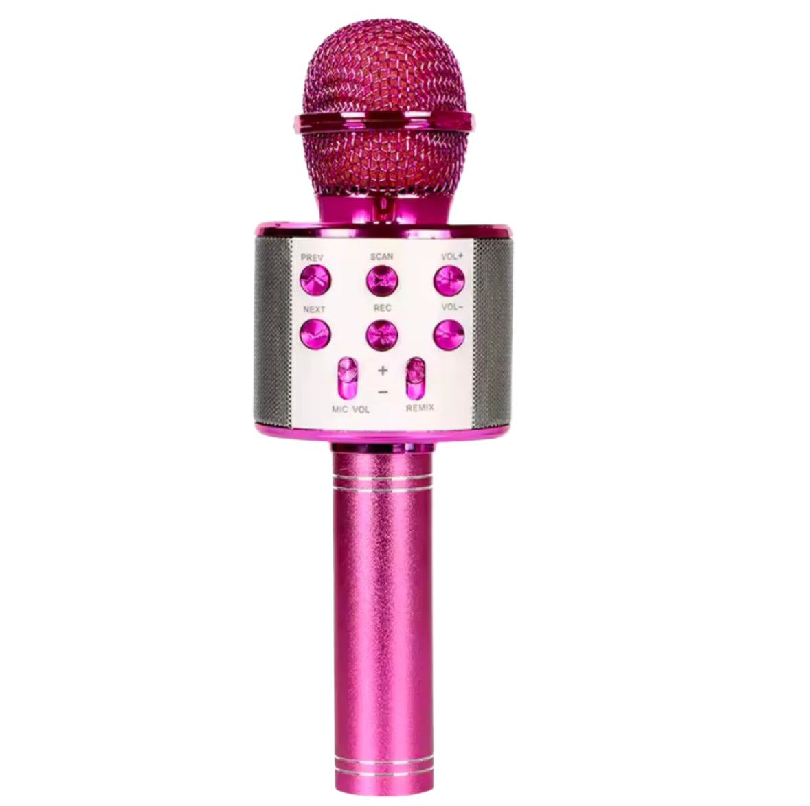 Karaoke Mic